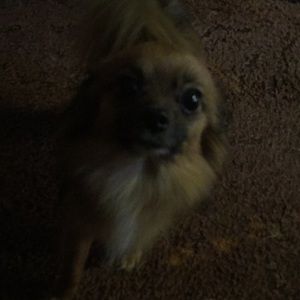 Meet your Posher, Jaelynn